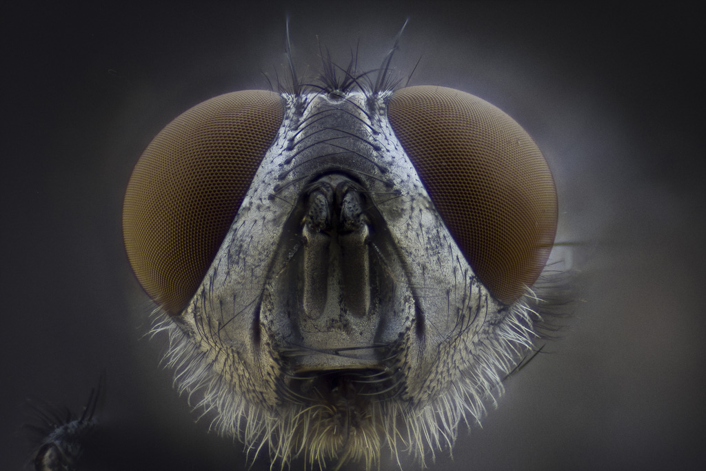 -2012-04-20-20.06.03-zs-pmax-final.jpg