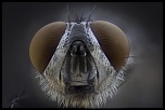 -2012-04-20-20.06.03-zs-pmax-final.jpg