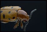 -2012-04-24-18.56.33-zs-final.jpg