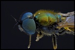 -2012-04-19-14.56.45-zs-final.jpg