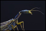 -2012-04-26-16.57.50-zs-final.jpg