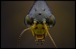 -2012-04-28-20.30.59-zs-final.jpg