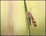 -img_2941000.jpg