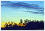 Objectif Canon 18-55 mm - avis ?-bouvent1web.jpg