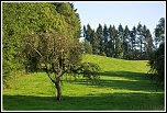 Objectif Canon 18-55 mm - avis ?-paysage1web.jpg