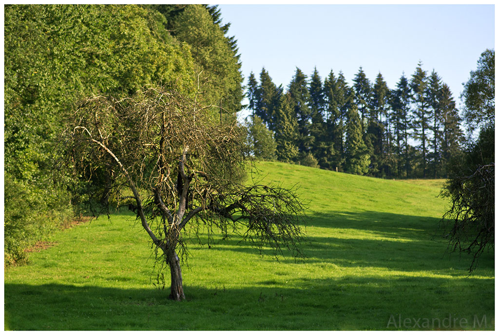 Objectif Canon 18-55 mm - avis ?-paysage1web.jpg