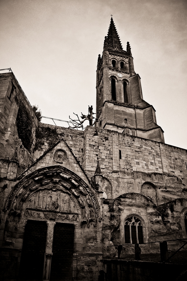 -img_3009-1-2-rm.jpg