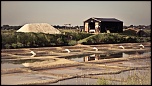 -ret-2648-2.jpg