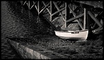 -convertp40391772011.jpg