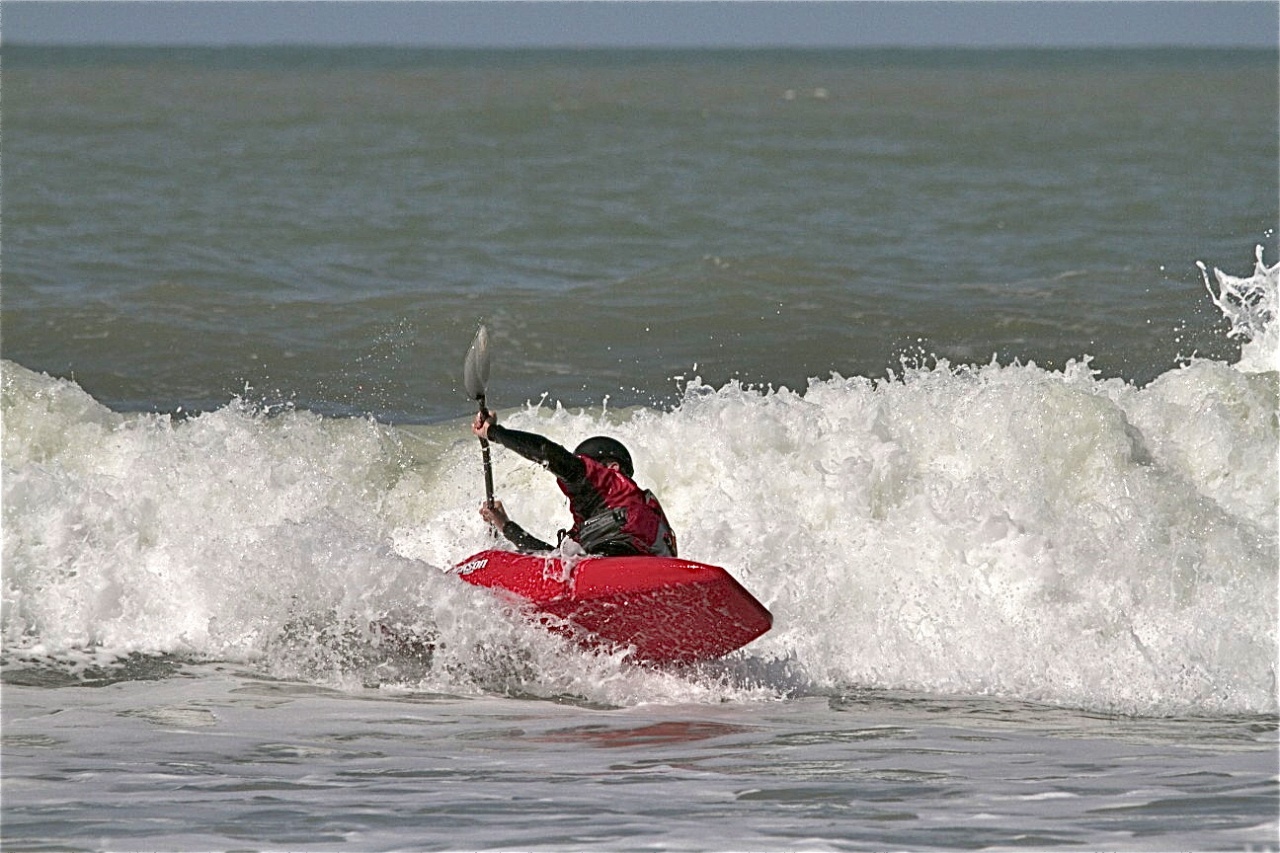 IMG 1554
