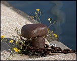 GB5D 20120501 0010