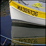 MG 2195