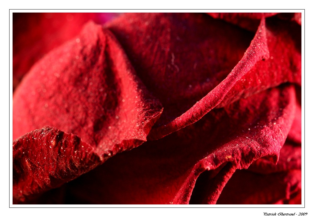 CAPTURE ONE PRO-3638.jpg