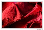 CAPTURE ONE PRO-3638.jpg