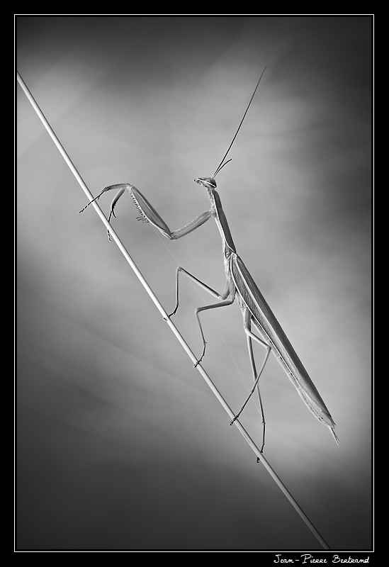 -3654.jpg