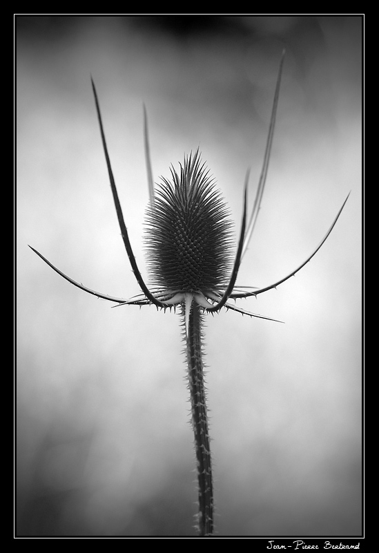 -3656.jpg
