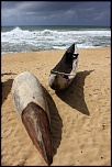 Tests d&#39;objectifs-img_8013_96ppp_13x19.jpg
