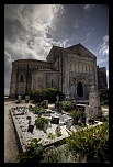 nouveaux membre-225817563.jpg