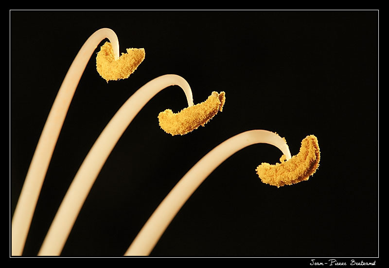 triple croche