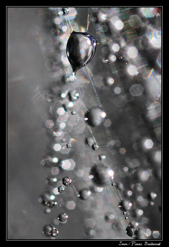 en gris