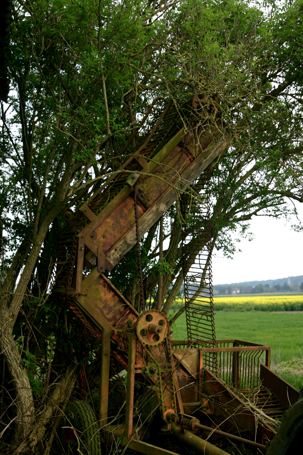 quand la nature reprend ses droits....