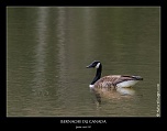 Metz 44 AF - 4C et 300 D-_mg_3734-181-naturelimages.com.jpg