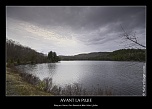 -7397-98-99_hdr2-naturelimages.com.jpg
