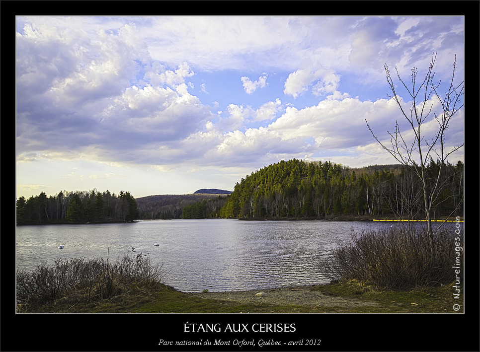 -_img_7375-2-naturelimages.com.jpg