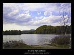-_img_7375-2-naturelimages.com.jpg