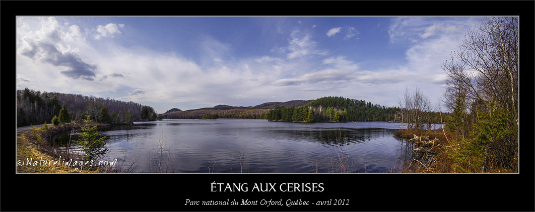 -panorama-3-naturelimages.com-naturelimages.com.jpg