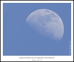 -_mg_4157-naturelimages.com.jpg