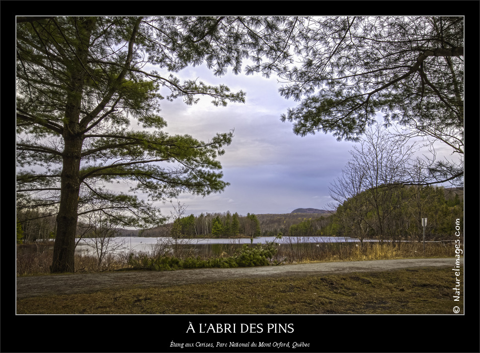 -1-naturelimages.com.jpg