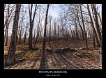 -_mg_7470-naturelimages.com.jpg