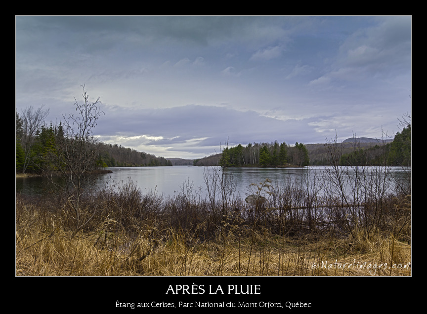 -2-naturelimages.com.jpg