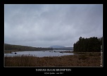 -img_8930-naturelimages.com.jpg