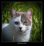 IMG 4894 naturelimages.com 3
