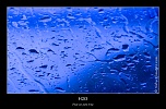 MG 8618 naturelimages.com