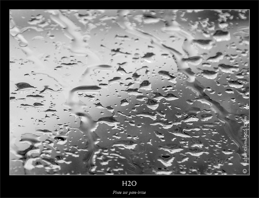 MG 8614 naturelimages.com