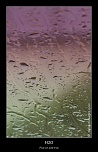 MG 8616 naturelimages.com