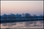 -deule-janv-09-14-w.jpg