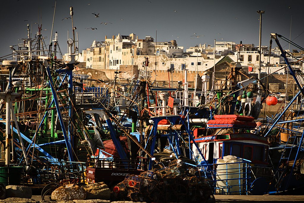 Le Port d'Essaouira