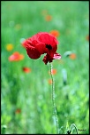 -img_3803.jpg
