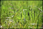 -img_3805.jpg