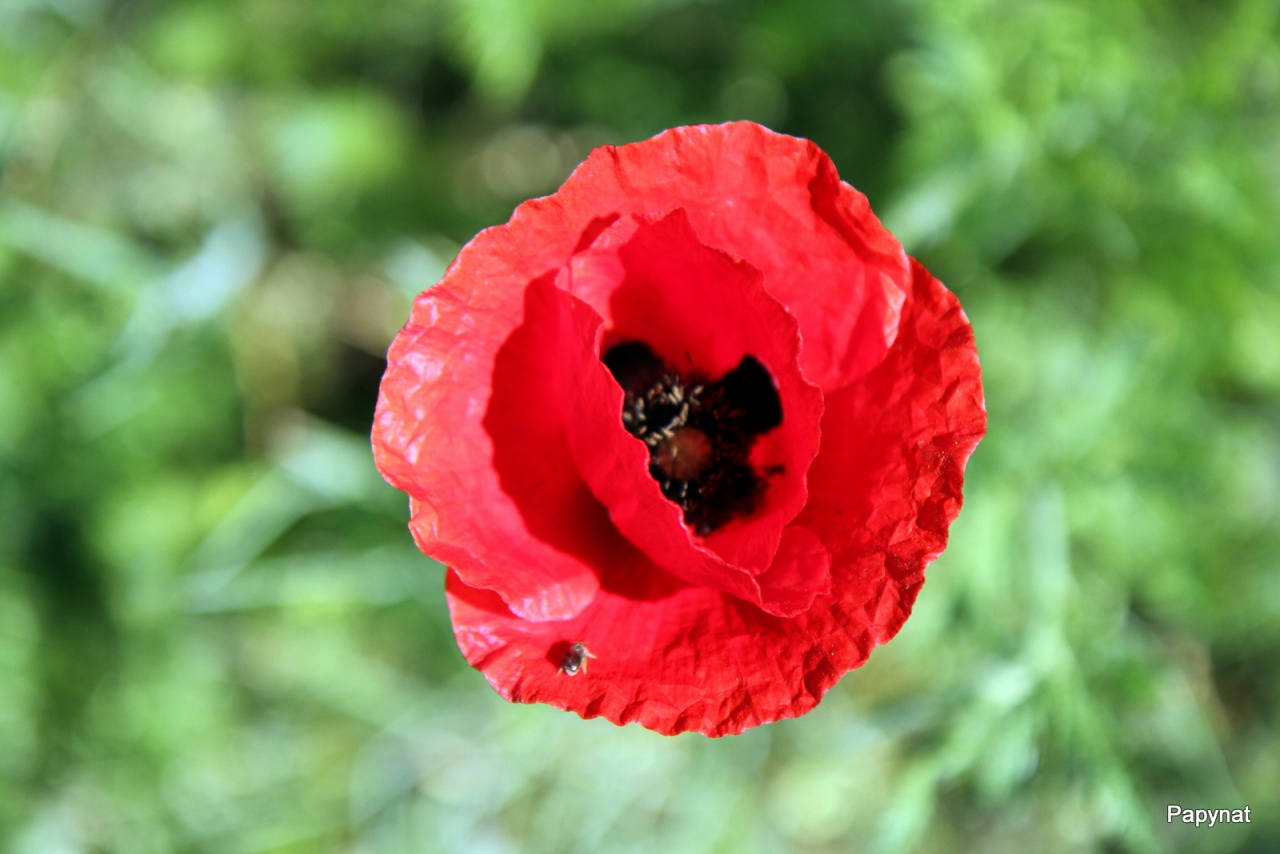 -img_3808.jpg
