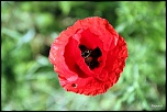 -img_3808.jpg