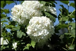 -img_3810.jpg