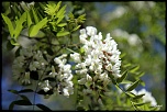 -img_3812.jpg