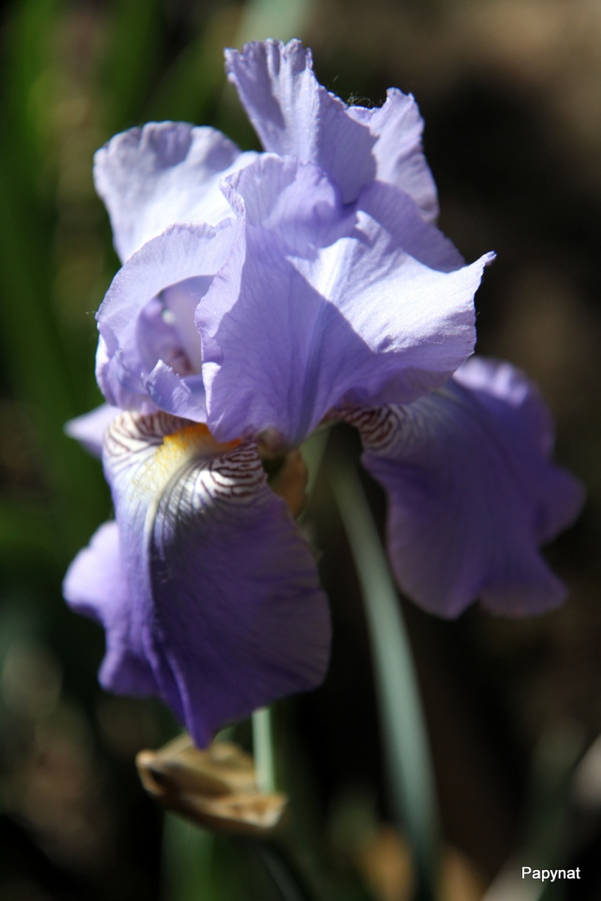 -img_3820.jpg