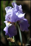 -img_3820.jpg