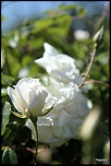 -img_3813.jpg